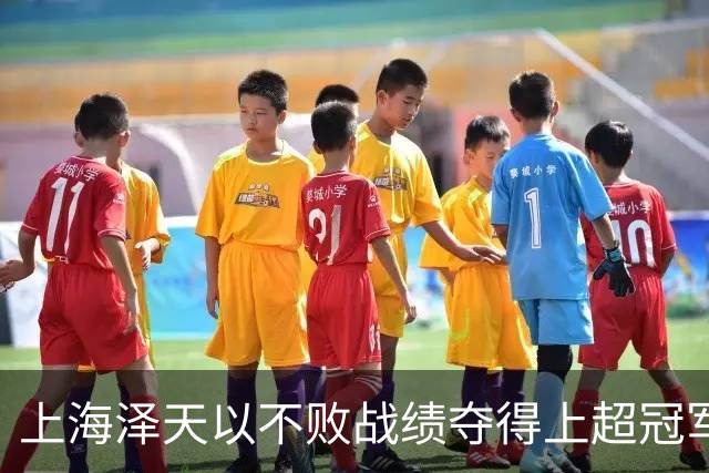 上海泽天以不败战绩夺得上超冠军，此前曾闯入中国足协杯32强